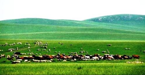 张家口旅游照片,张家口景点图片,图库,相册–携程社区