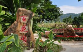 【漳州东南花都天气预报】漳州漳州东南花都天