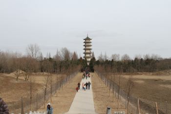 【加游站】大丰麋鹿自然保护区 - 大丰游记攻略