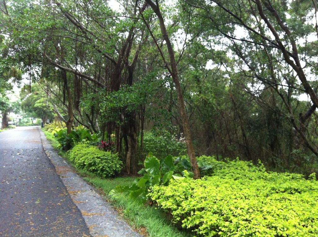 第二天:游北海 北海其实自然风景极佳,有海,有漂亮的细沙海滩,有山有水有老街风貌,关键还有海鲜吃,但感觉北海的旅游资源还需要进一步开发,市容有待改善哦。 一大早我们就起床,顾不上吃早饭,直奔银滩,打算看看海上日出,可老天不作美,天边好厚的云层,到六点多太阳光才从云缝中洒落些许光芒,没有日出看就看看远处的海和近处的细沙吧,一样很美,一大早的银滩上很少有人,我们可以尽情地玩玩 晨曦中的银滩路好美啊! 标志性雕塑 海水退去后的沙滩,留下片片海的印记,象地毯的图文 银滩的沙有多细啊,细的让你看不出沙粒