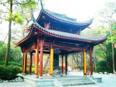 【携程图片】杭州西湖攻略,吉林旅游景点攻略西湖自驾7日游图片图片