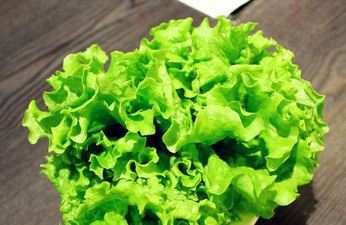 呼和浩特草原狼狼仔(万达广场店)电话\/地址\/菜