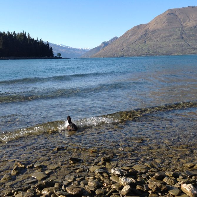 201410新西兰之旅:心之所系蓝 - 新西兰游记攻