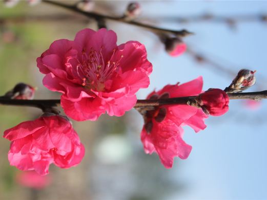 长泰风景图片,长泰旅游景点照片\/图片\/图库\/相册