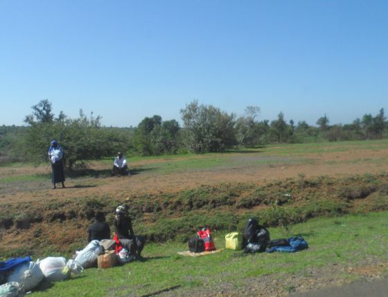肯尼亚三大国家公园+阿布扎比+迪拜10日团队
