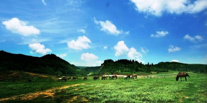 <em>仙女山</em>国家森林公园-介绍,门票,点评,照片,视频