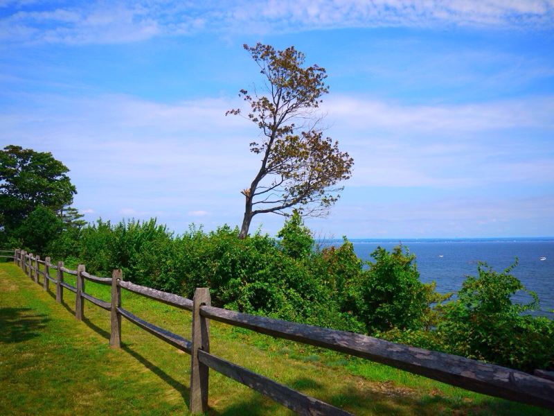 【环球体验】奢华家族的美国梦(纽约长岛一日