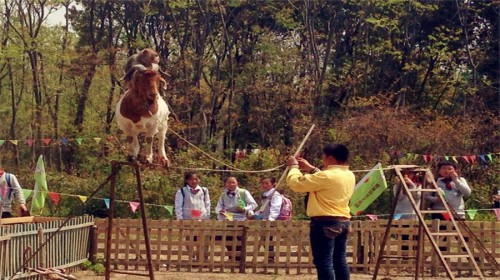 玩不啦景点门票 江苏门票 江阴门票 霞客岛亲子乐园