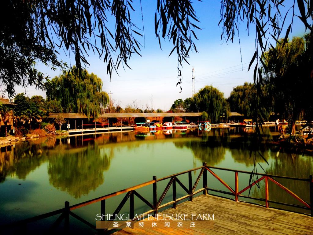 周末,寻找秋色静美1 记嘉兴圣莱特休闲农庄之旅