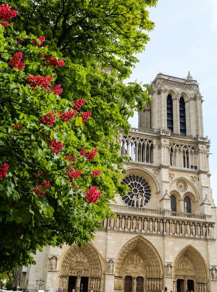 【美差】我拍过柏林、巴黎、因特拉肯、威尼斯