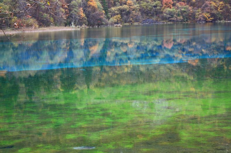 图说四川八日游(九寨则查洼沟树正沟) - 九寨沟