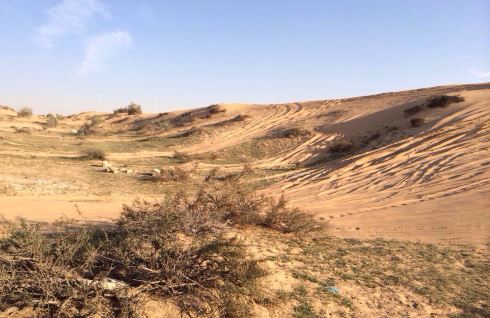 迪拜冲沙,到了迪拜听很多人说不好玩,个人认为