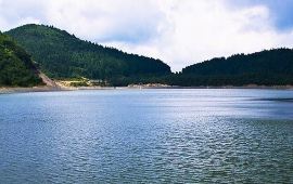 重庆南天湖景区天气预报,历史气温,旅游指数,南