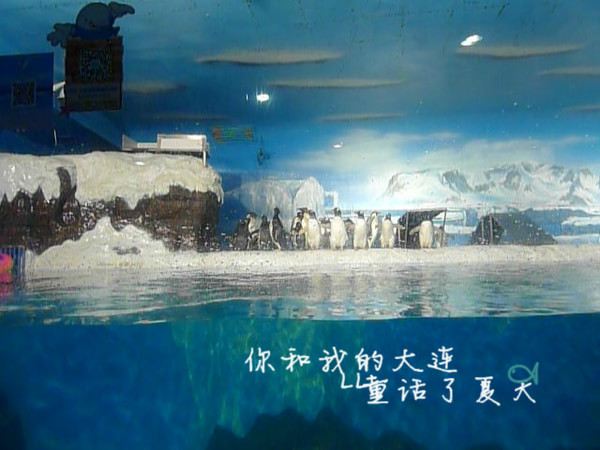 我和你的大连,童话了夏天--用旅程刷新那些关于