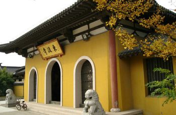 东渡苑景区,张家港东渡苑景区攻略/地址/图片/门票