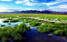 若尔盖若尔盖花湖天气预报,历史气温,旅游指数