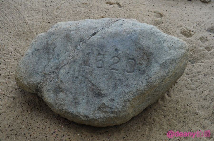 【加油站】【海外租车】美国东部赏花、观鲸游