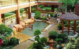 新兴云浮金水台旅游度假区天气预报,历史气温