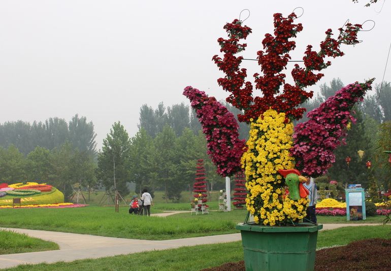 北京国际鲜花港,顺义北京国际鲜花港攻略\/地址