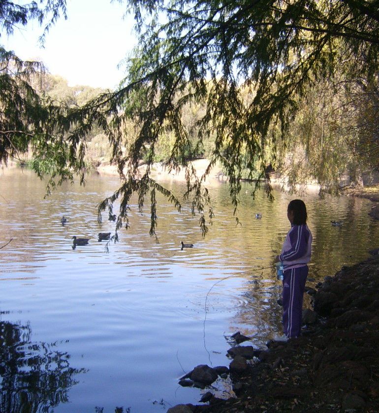 野鸭湖