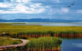 【若尔盖花湖天气预报】若尔盖若尔盖花湖天气