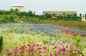 花仙子风景区,日照花仙子风景区攻略/地址/图片/门票