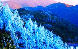 【九仙山风景区天气预报】德化九仙山风景区天