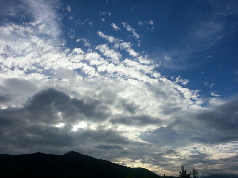 随手拍!我在云南丽江等花开!