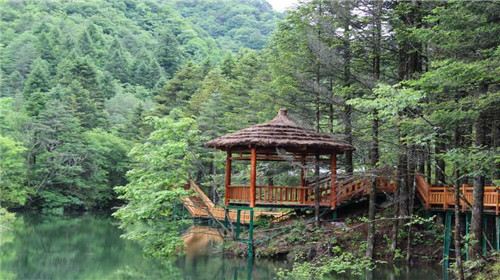 <em>神农架</em>风景<em>图片</em>,<em>神农架旅游</em>景点<em>照片</em>/<em>图片</em>/图库