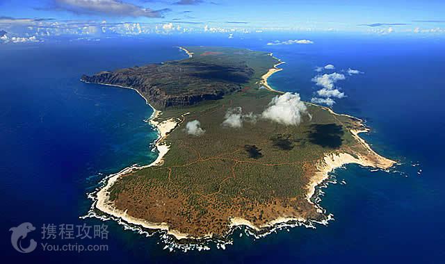 美国+加拿大+夏威夷+旧金山+纽约+费城+华盛