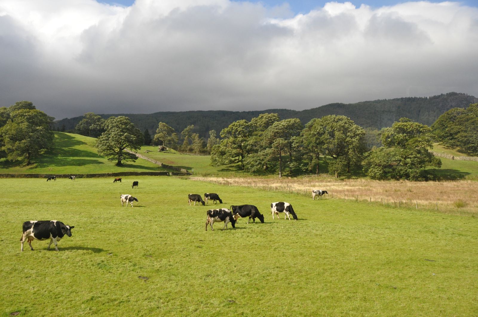 英国+冰岛12日跟团游(4钻)·全4星\/特色餐\/雪地