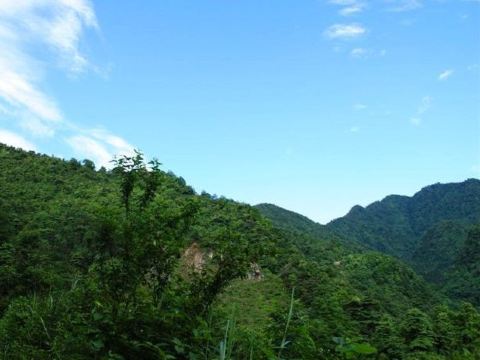 已知的计有洛阳老君山,神农架老君山,丽江老君山风景区,文山文山县