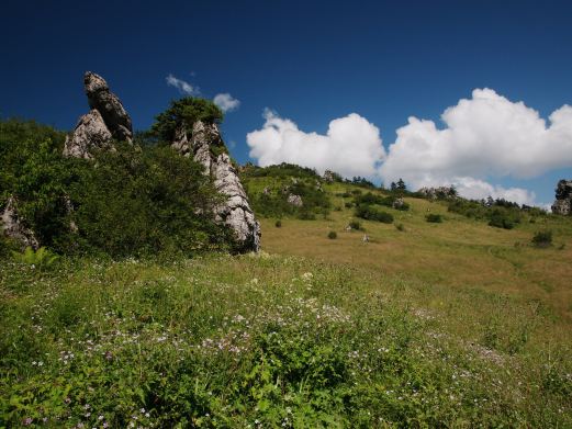 <em>神农架旅游照片</em>,神农架景点图片,图库,相册–携