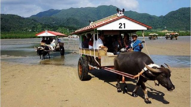 西表岛门票,竹富町-西表岛西表岛攻略\/地址\/图片\/门票价格【携程攻略】