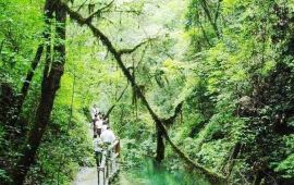 【后河原始生态旅游区天气预报】五峰后河原始