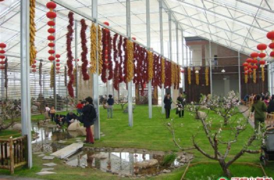 多利农庄_多利农庄 营业收入