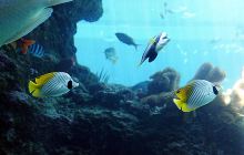 日本景点介绍,日本旅游景点推荐,日本著名\/必游