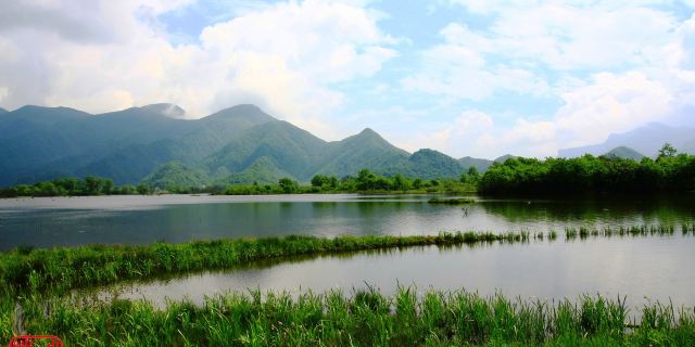 大九湖国家湿地公园