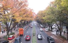 日本景点介绍,日本旅游景点推荐,日本著名\/必游