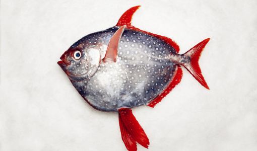 【携程攻略】夏威夷月亮鱼哪里吃,夏威夷哪家