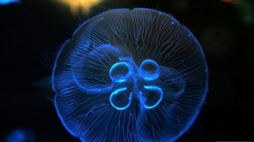 <em>郑州</em>风景<em>图片</em>,<em>郑州旅游</em>景点<em>照片</em>/<em>图片</em>/图库/<em>相册</em>