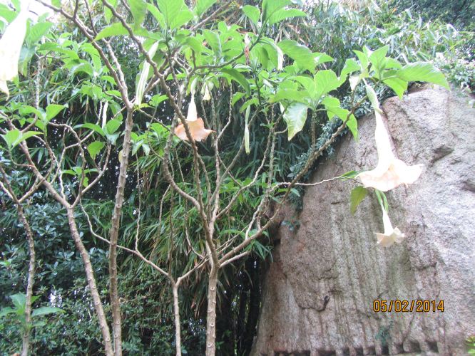 [i旅游]厦门4日游;订单号:805102587;产品名称