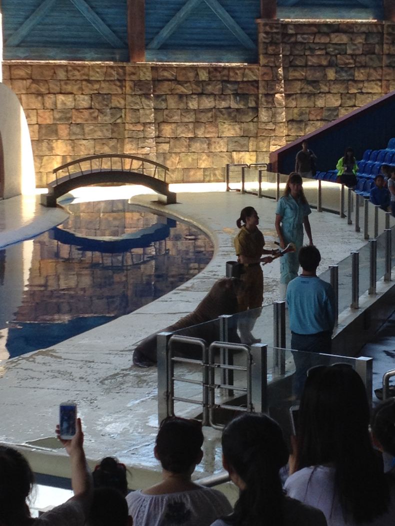 6月份周五去周六返珠海长隆酒店+海洋王国游