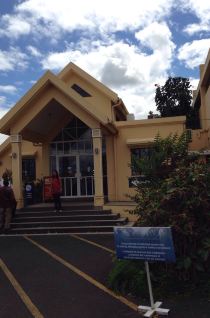 无法呼吸,带你去毛里求斯数星星追海豚! - 毛里