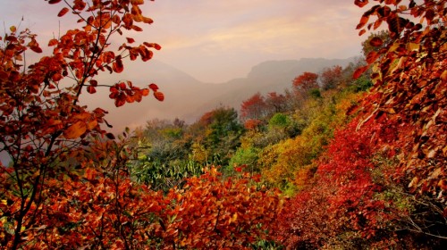 大鸿寨风景区