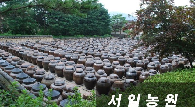 体验韩国大酱的魅力京畿道养生之旅|京畿道游