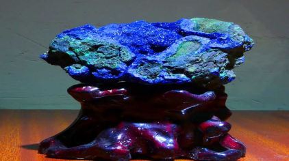 石林喀斯特地质博物馆门票多少钱_石林喀斯特