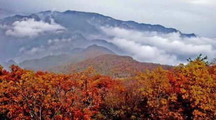 历山皇姑幔景区