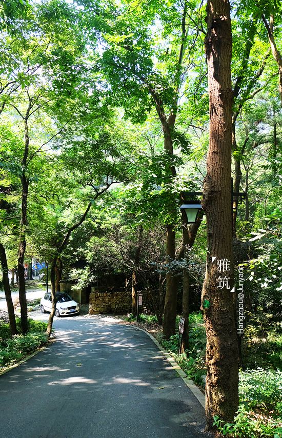 一样的夏天,杭州虎跑龙井慢游2日