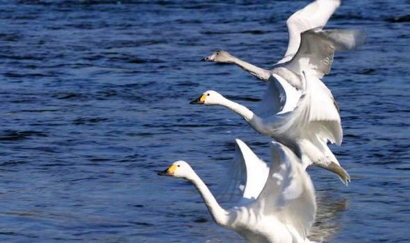 乌拉特前旗旅游怎么样_乌拉特前旗哪里好玩_